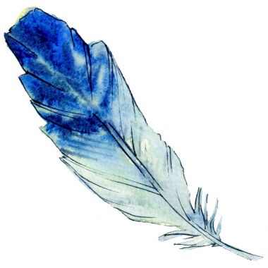 Suluboya kuş tüyü izole kanat üzerinden.