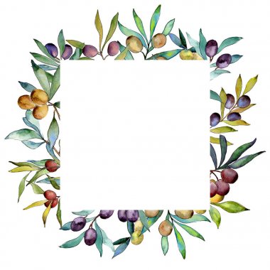 Zeytin ağacı çerçeve suluboya tarzında.