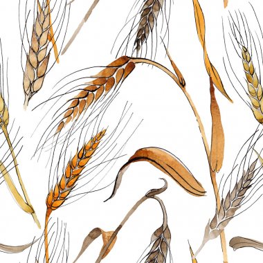 Kır çiçeği spica desen suluboya tarzında.