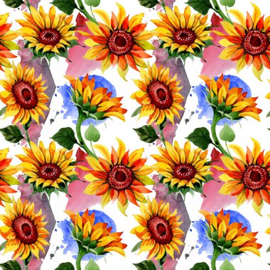 Kır çiçeği ayçiçeği çiçek deseni suluboya tarzında.