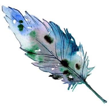 Suluboya kuş tüyü izole kanat üzerinden.