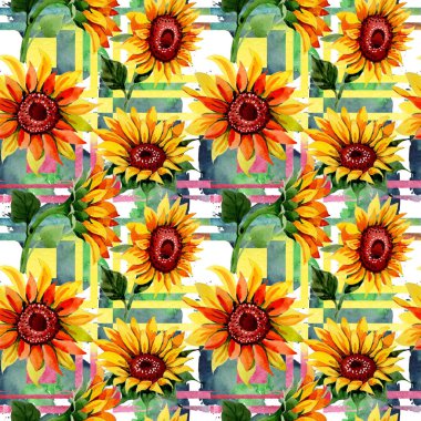 Kır çiçeği ayçiçeği çiçek deseni suluboya tarzında.