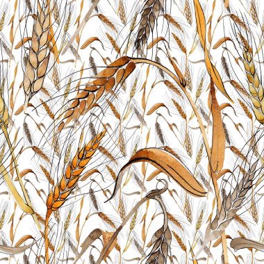 Kır çiçeği spica desen suluboya tarzında.