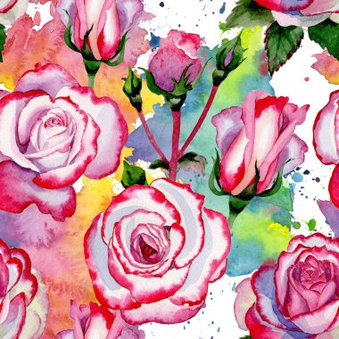 Kır çiçeği hibrid gül çiçek deseni suluboya tarzında.