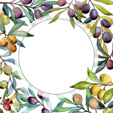 Zeytin ağacı çerçeve suluboya tarzında.