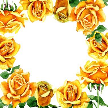 Kır çiçeği gül çiçek çerçeve suluboya tarzında.