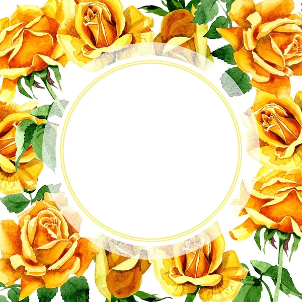 Kır çiçeği gül çiçek çerçeve suluboya tarzında.