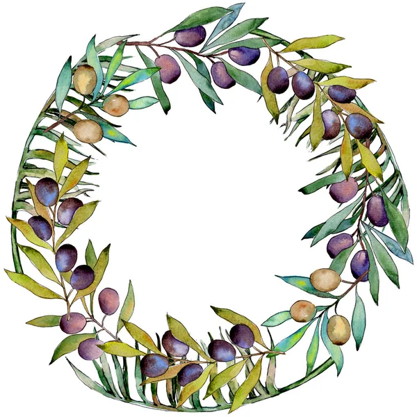 Olive tree wreath in a watercolor style.