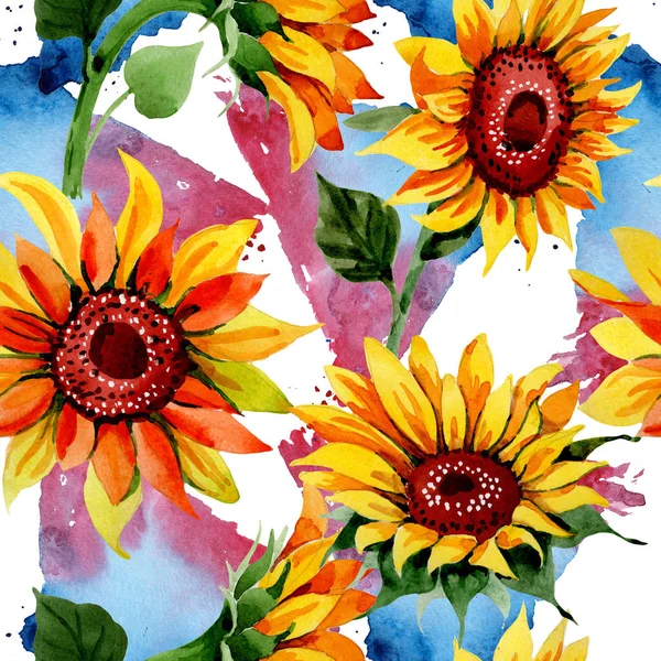 Modello di fiore di girasole Wildflower in stile acquerello . — Foto Stock