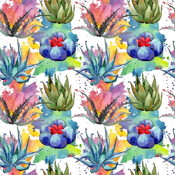 Patrón de cactus de flor silvestre en un estilo de acuarela . —  Fotos de Stock