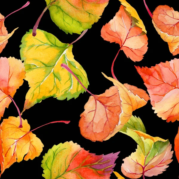 Folha de outono de padrão de álamo em um estilo aquarela desenhado à mão . — Fotografia de Stock