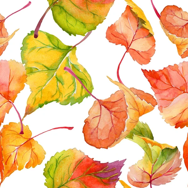 Jesienny liść topoli wzór w stylu akwarela rysowane ręcznie. — Zdjęcie stockowe