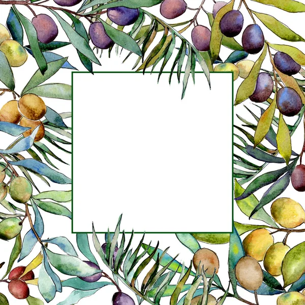 Olive tree frame in a watercolor style.