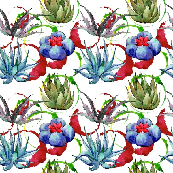 Wildflower cactus  pattern in a watercolor style. — Stock Photo, Image