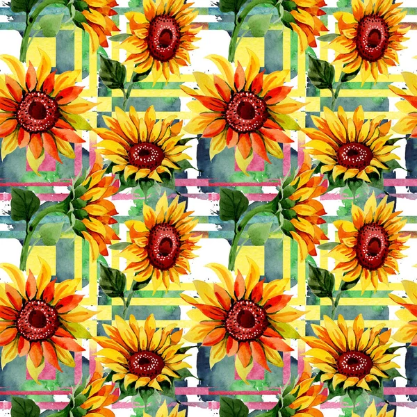 Wildflower sunflower flower pattern in a watercolor style. — Stock Photo, Image