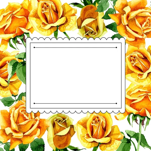 Wildflower rose flower frame in a watercolor style. — Stock Photo, Image