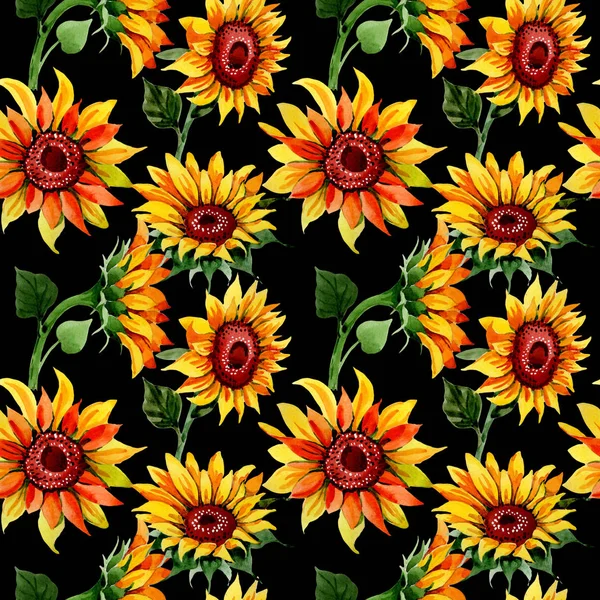 Wildflower sunflower flower pattern in a watercolor style. — Stock Photo, Image