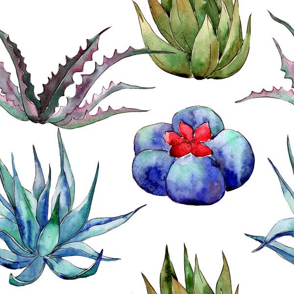 Wildflower cactus  pattern in a watercolor style.