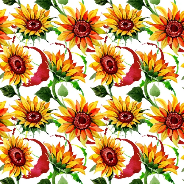 Wildflower sunflower flower pattern in a watercolor style. — Stock Photo, Image