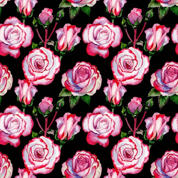 Wildflower híbrido rosa flor padrão em um estilo aquarela . — Fotografia de Stock