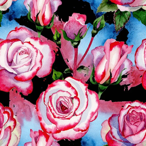 Pola bunga mawar hibrida liar dalam gaya cat air . — Stok Foto