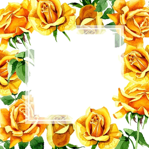 Wildflower rose flower frame in a watercolor style. — Stock Photo, Image