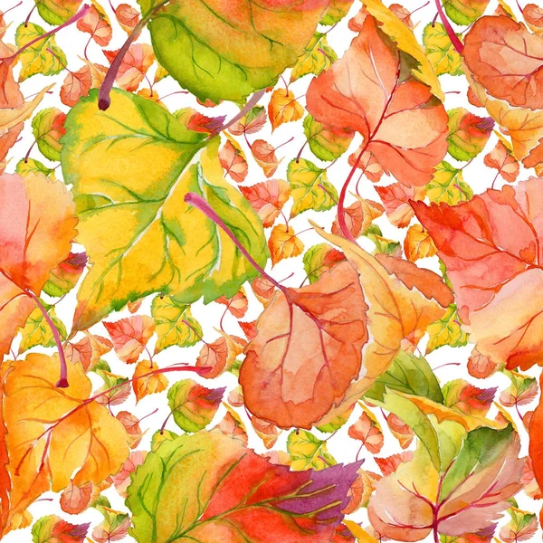 Hoja de otoño de patrón de álamo en un estilo de acuarela dibujado a mano . — Foto de Stock