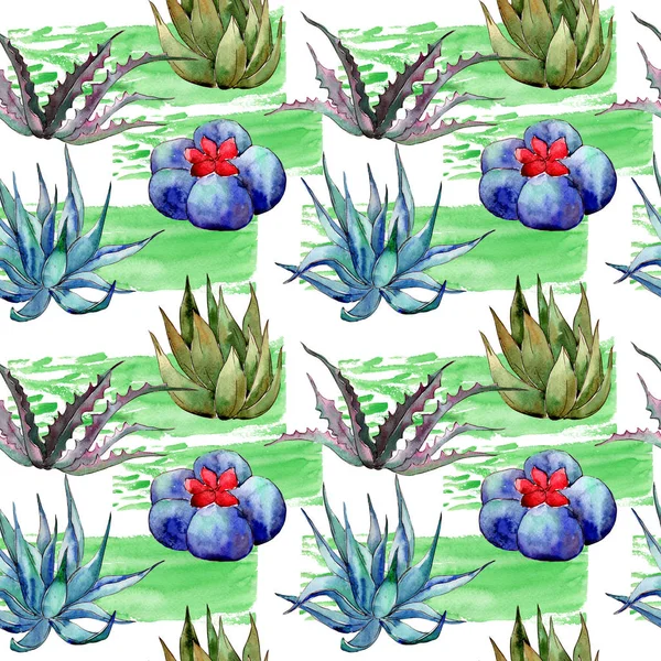 Wildflower cactus  pattern in a watercolor style. — Stock Photo, Image