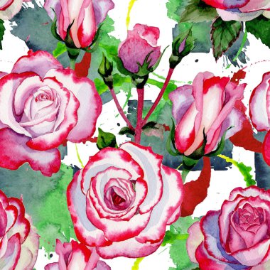 Kır çiçeği hibrid gül çiçek deseni suluboya tarzında.