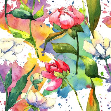 Kır çiçeği peony çiçek deseni suluboya tarzında.