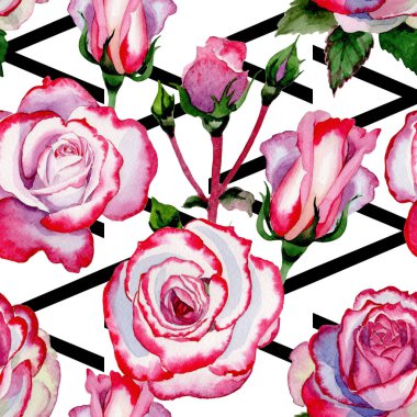 Kır çiçeği hibrid gül çiçek deseni suluboya tarzında.