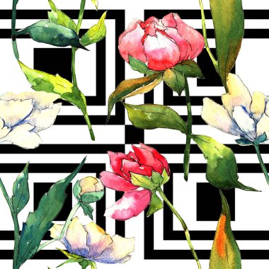 Kır çiçeği peony çiçek deseni suluboya tarzında.