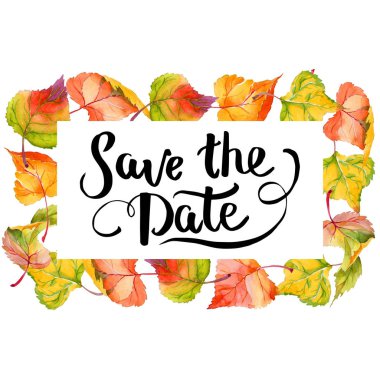 Kavak çerçevenin çizilmiş bir suluboya tarzında sonbahar yaprak.