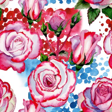 Kır çiçeği hibrid gül çiçek deseni suluboya tarzında.