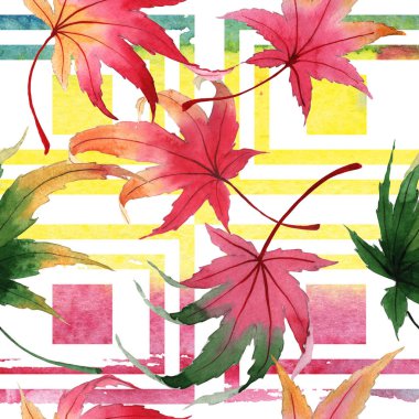 Akçaağaç desen çizilmiş bir suluboya tarzında sonbahar yaprak.