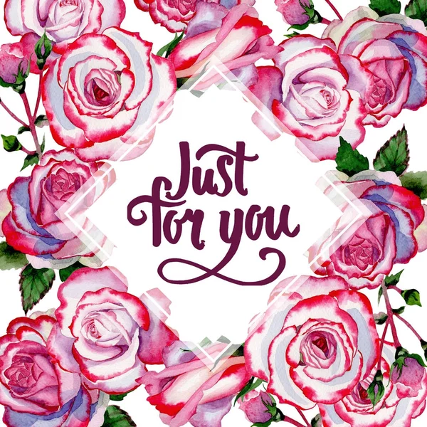 Vadvirág hibrid Rózsa virág keret akvarell stílusú. — Stock Fotó