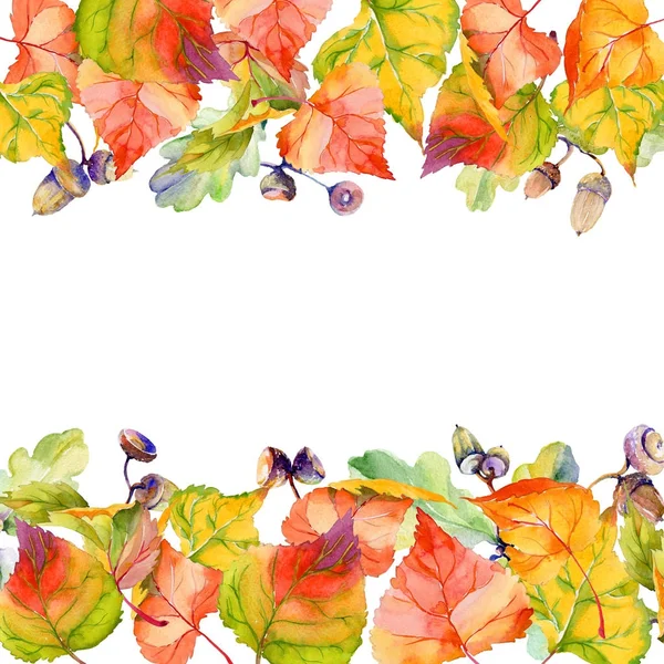 Autumn leaf of poplar frame in a hand-drawn watercolor style.