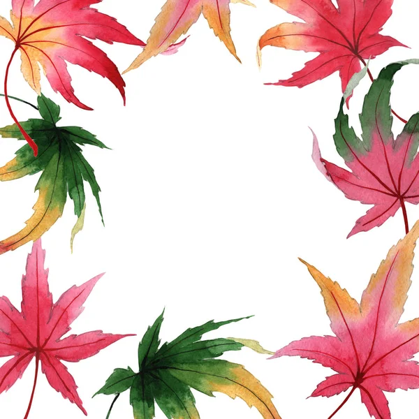 手绘水彩风格的枫木框架秋叶. — 图库照片