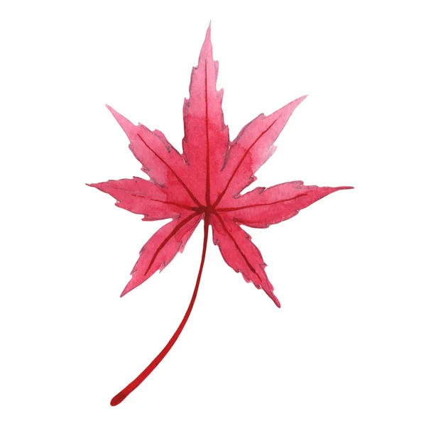 Autumn leaf of maple in a hand-drawn watercolor style isolated. — Stock Photo, Image