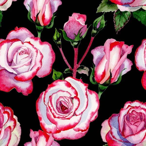 水彩风格的野花混合玫瑰花图案. — 图库照片
