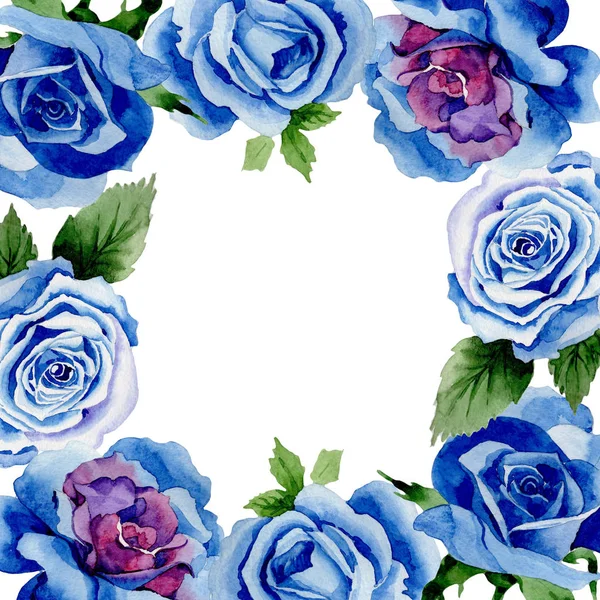 水彩風のワイルドフラワー青いバラの花のフレーム. — ストック写真