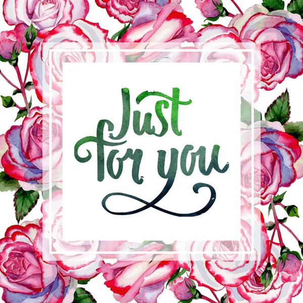 Kır çiçeği hibrid gül çiçek çerçeve suluboya tarzında.