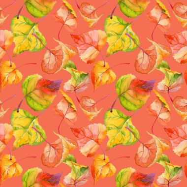 Kavak desen çizilmiş bir suluboya tarzında sonbahar yaprak.