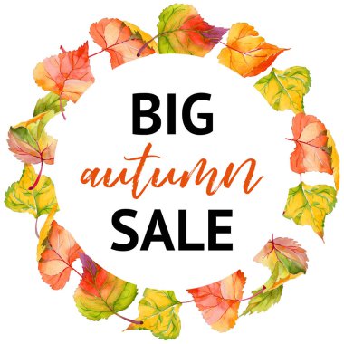 Kavak çelenk çizilmiş bir suluboya tarzında sonbahar yaprak.