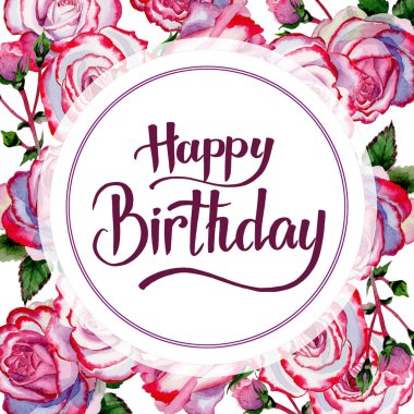 Kır çiçeği hibrid gül çiçek çerçeve suluboya tarzında.