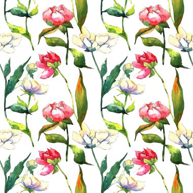 Kır çiçeği peony çiçek deseni suluboya tarzında.