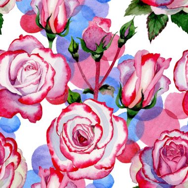 Kır çiçeği hibrid gül çiçek deseni suluboya tarzında.