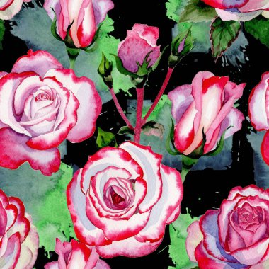 Kır çiçeği hibrid gül çiçek deseni suluboya tarzında.