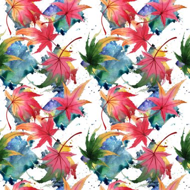 Akçaağaç desen çizilmiş bir suluboya tarzında sonbahar yaprak.