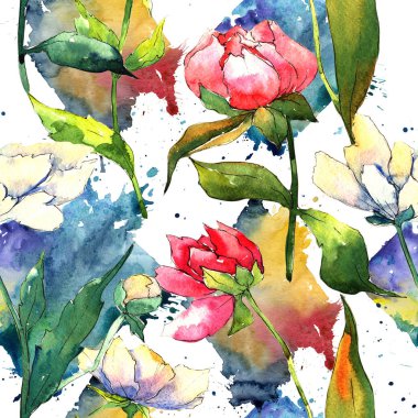 Kır çiçeği peony çiçek deseni suluboya tarzında.